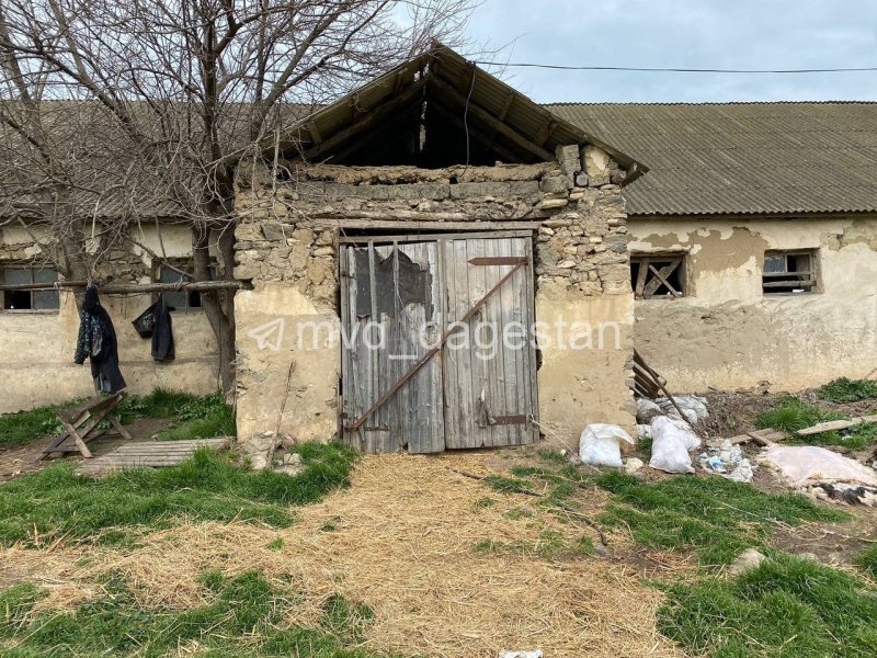 Житель Каякентского района подозревается в краже мелкого рогатого скота